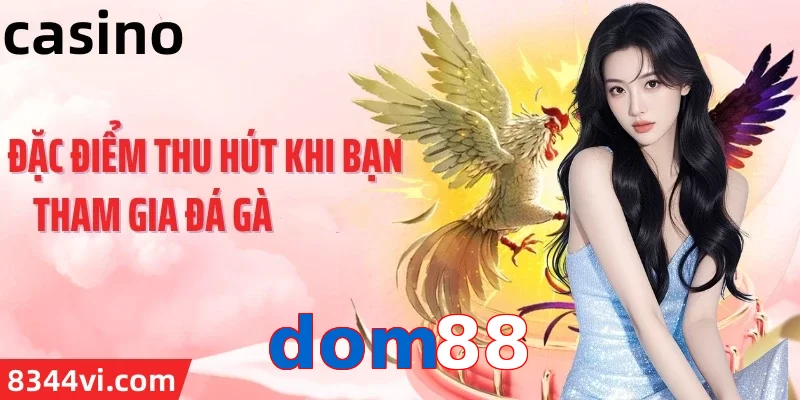dom88